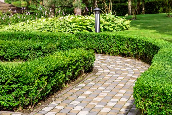 Paved Landscaping in Snohomish