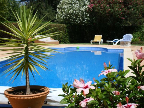 Cost of Pool Terrace Renovation in Snohomish
