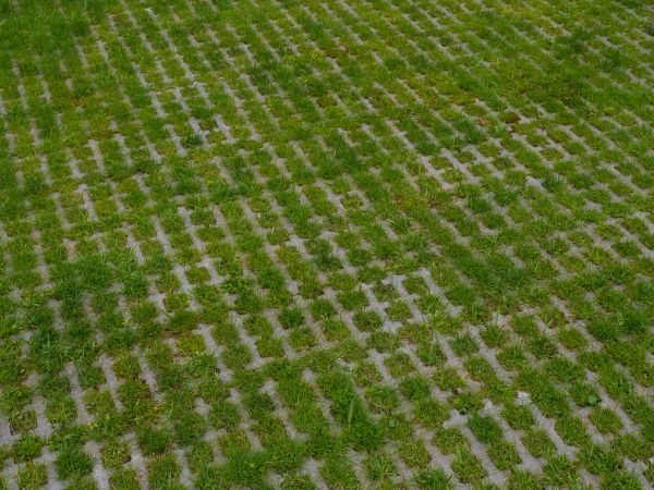 Permeable Pavement Service in Snohomish